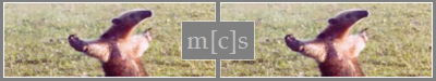 mcs advert.png (53 KB)